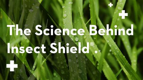 what brands are similar to insect shield